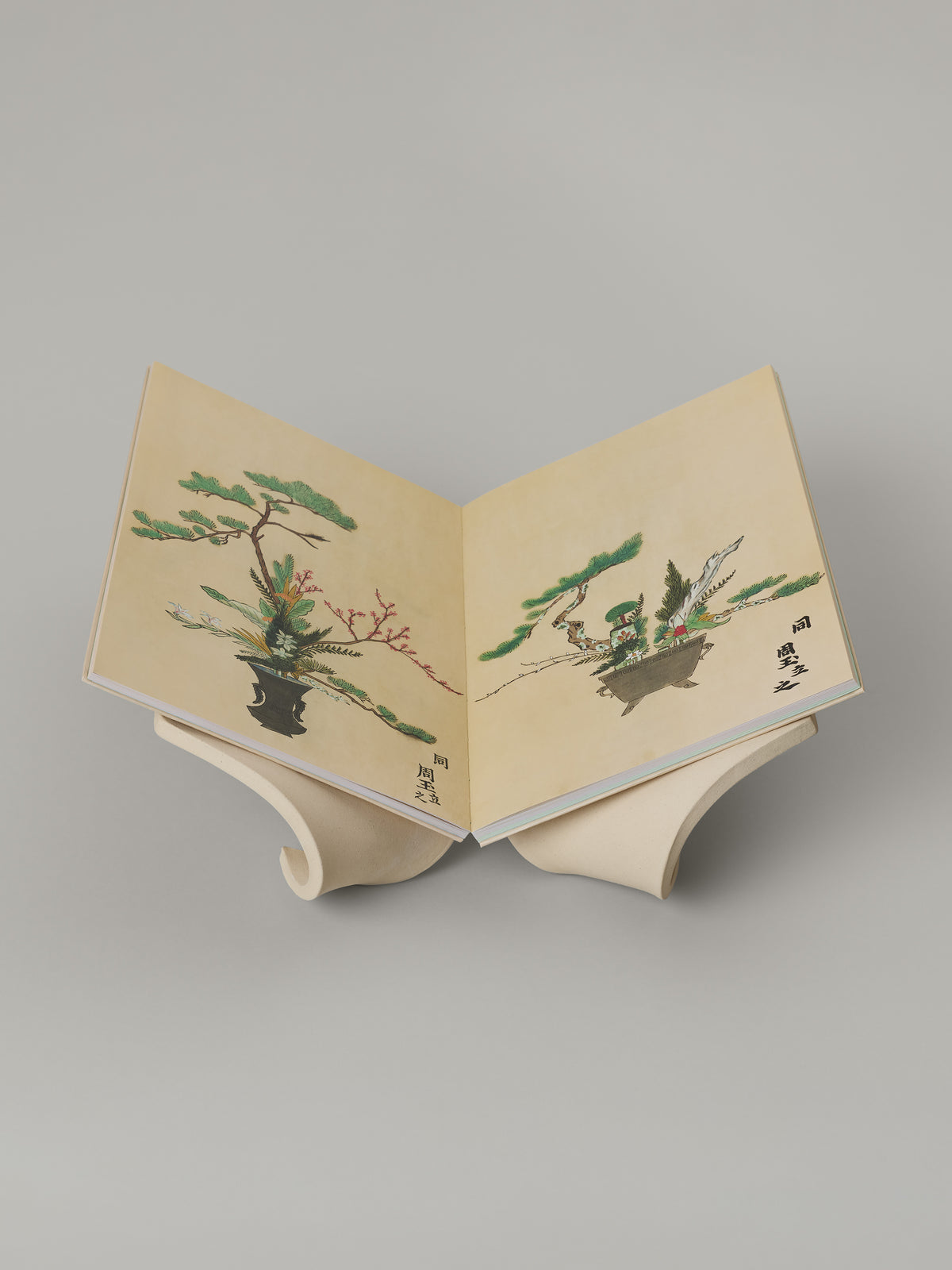 Folio Book Pedestal in Bone