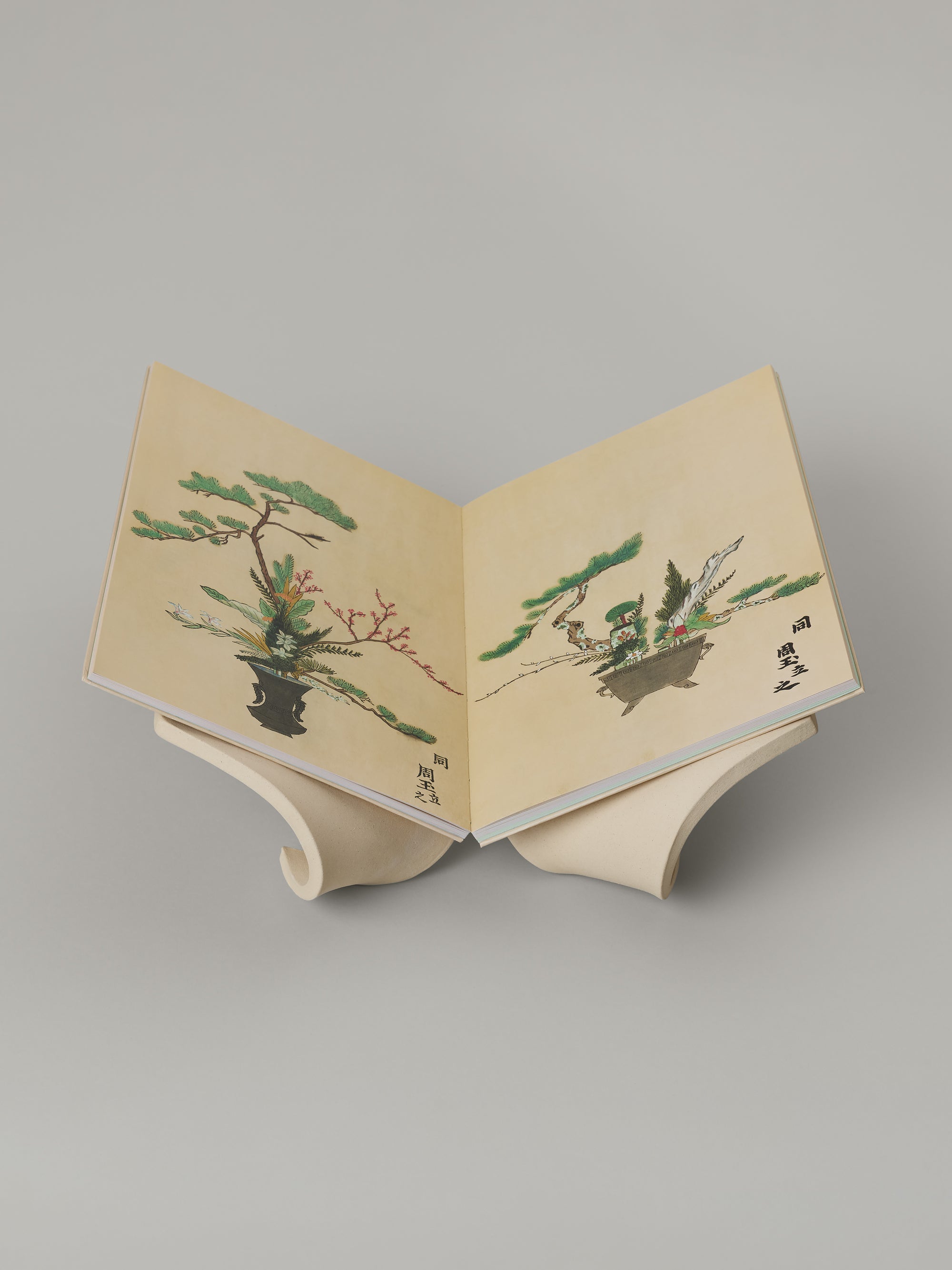 Folio Book Pedestal in Bone